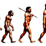 Basic Principles Of Theory Of Evolution