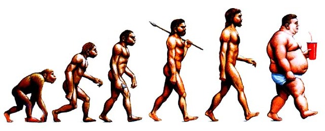 Theory Of Evolution